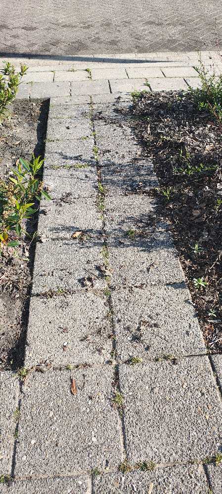 Foto bij melding 5117951 · Wegen, fietspaden, en stoepen