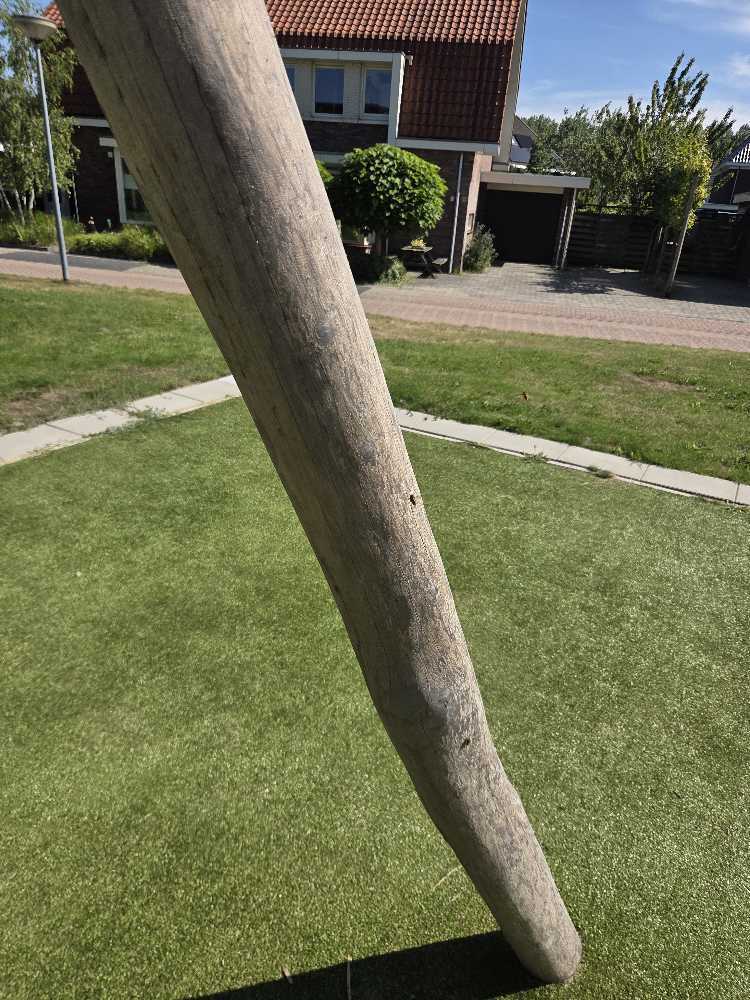 Foto bij melding 5504442 · Dieren
