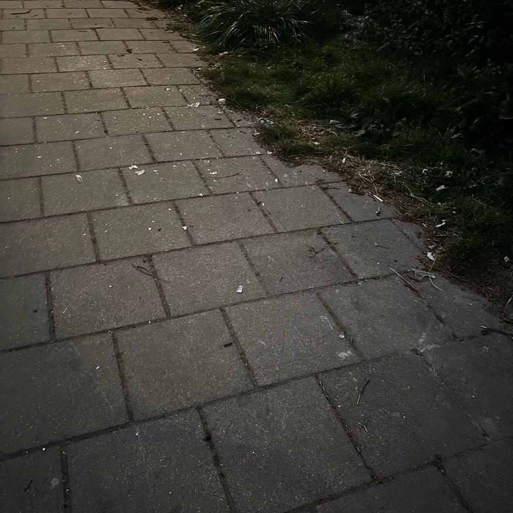 Foto bij melding 5033270 · Afval