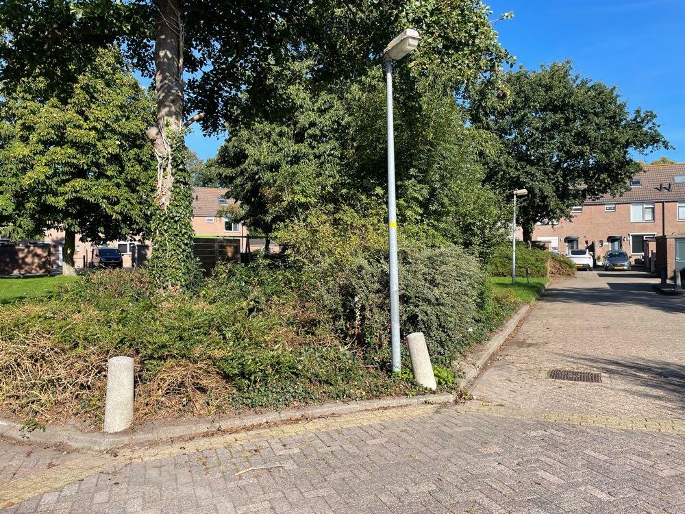 Foto bij melding 5617968 · Groenonderhoud