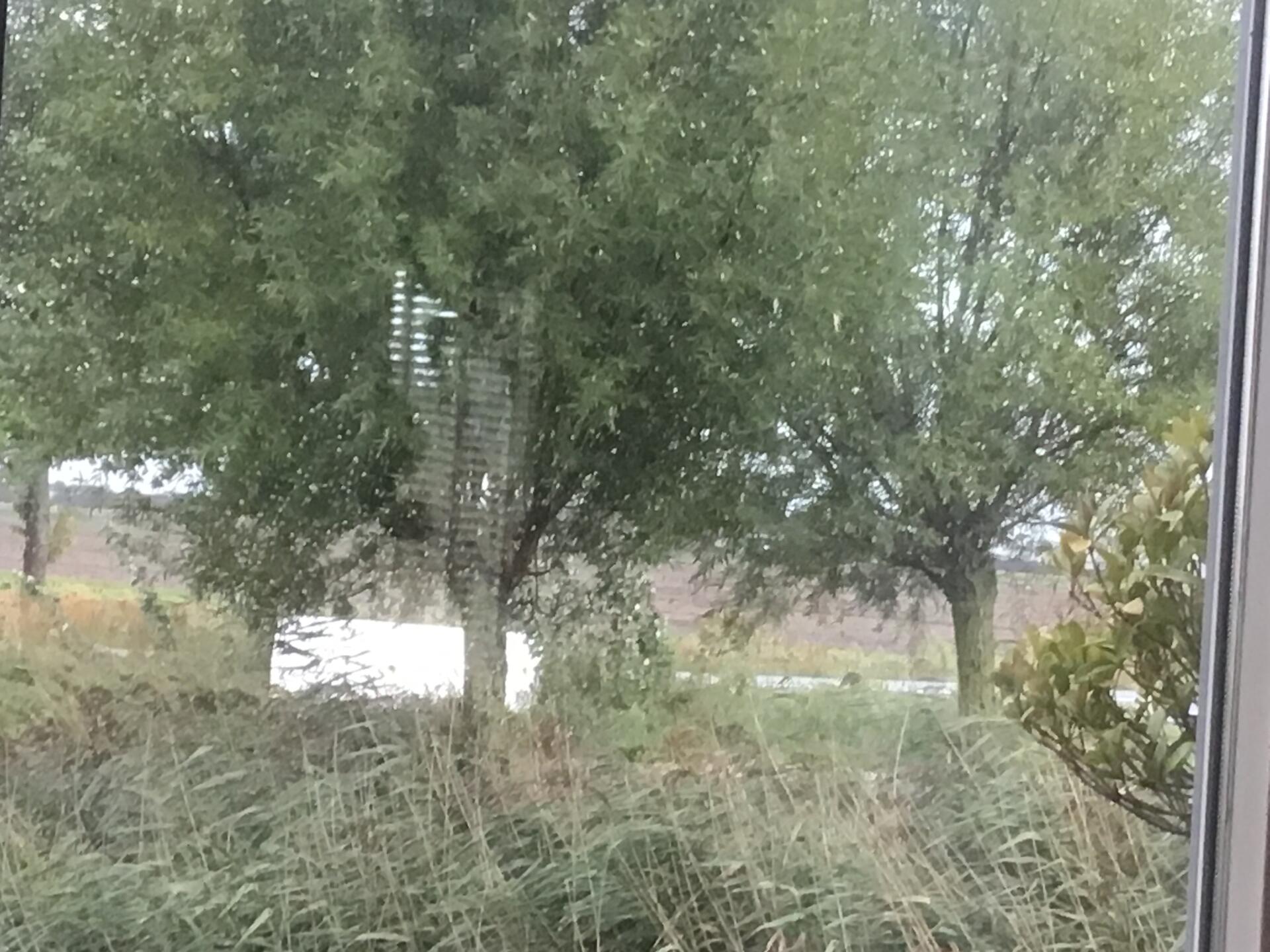 Foto bij melding 5524580 · Afval en zwerfvuil