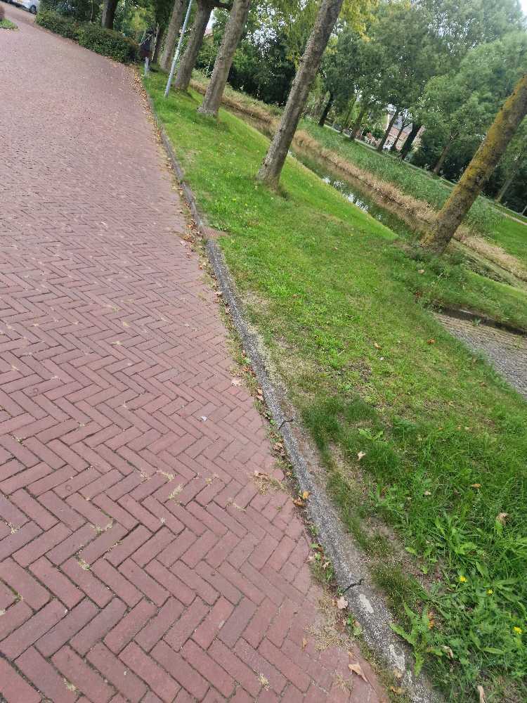 Foto bij melding 5606428 · Openbaar groen
