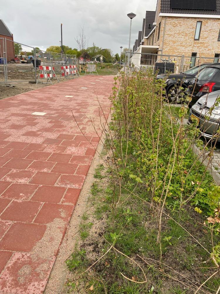 Foto bij melding 5102433 · Openbaar groen