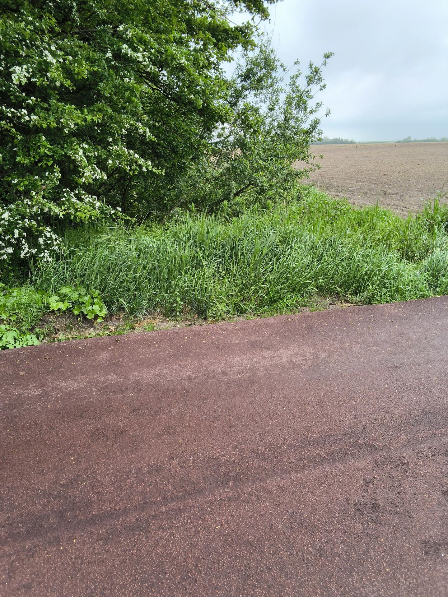 Foto bij melding 5112244 · Wegen, fietspaden, en stoepen