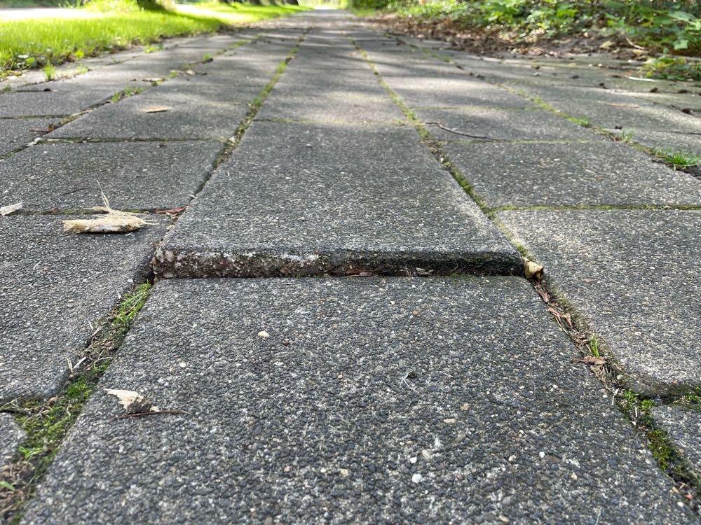 Foto bij melding 5590991 · Wegen en paden