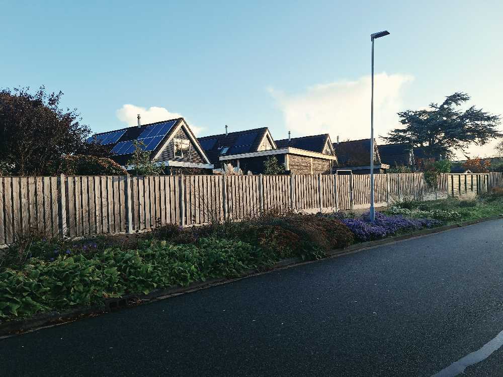 Foto bij melding 5698175 · Groenonderhoud