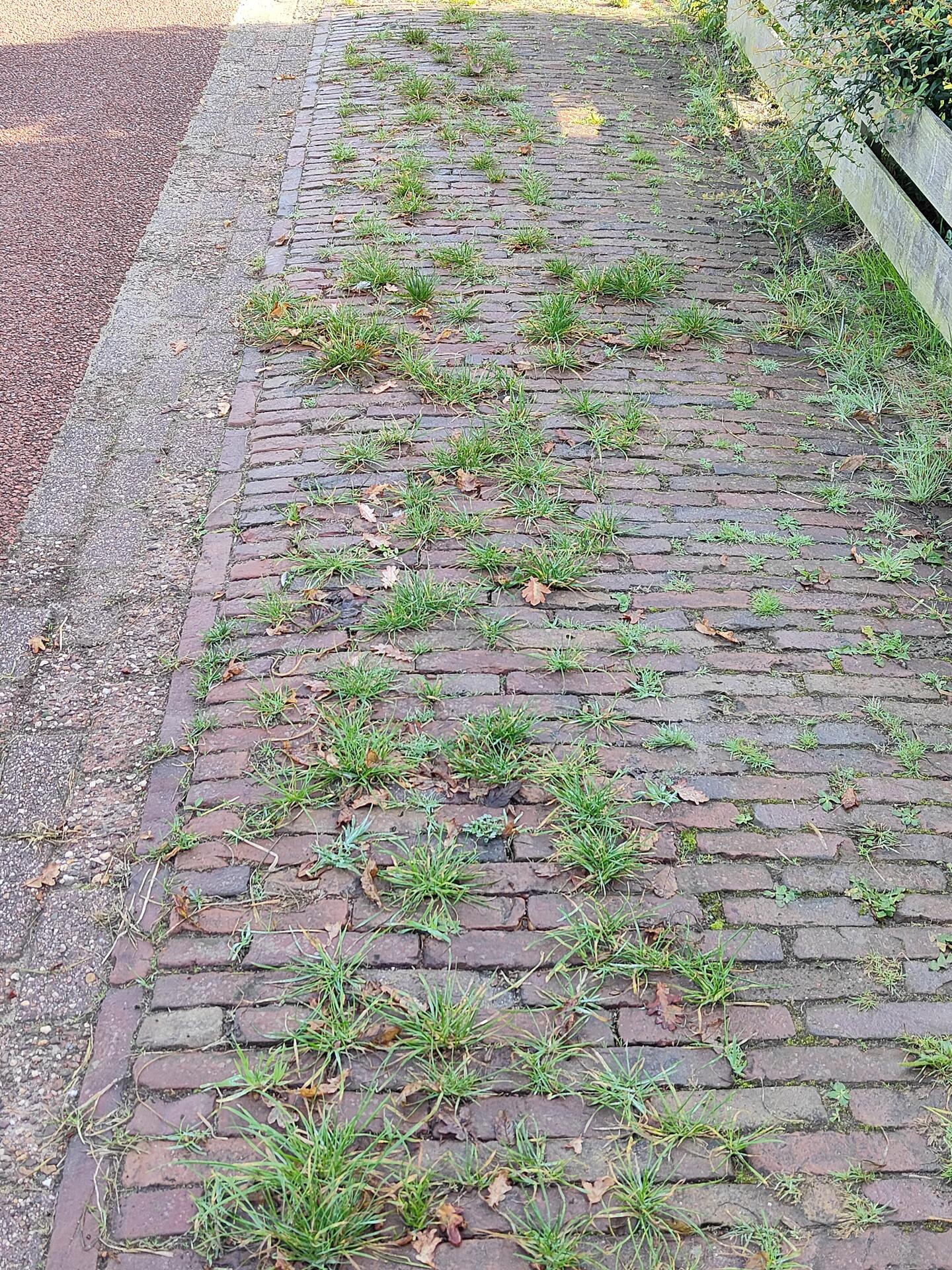 Foto bij melding 5655373 · Wegen, fietspaden, en stoepen