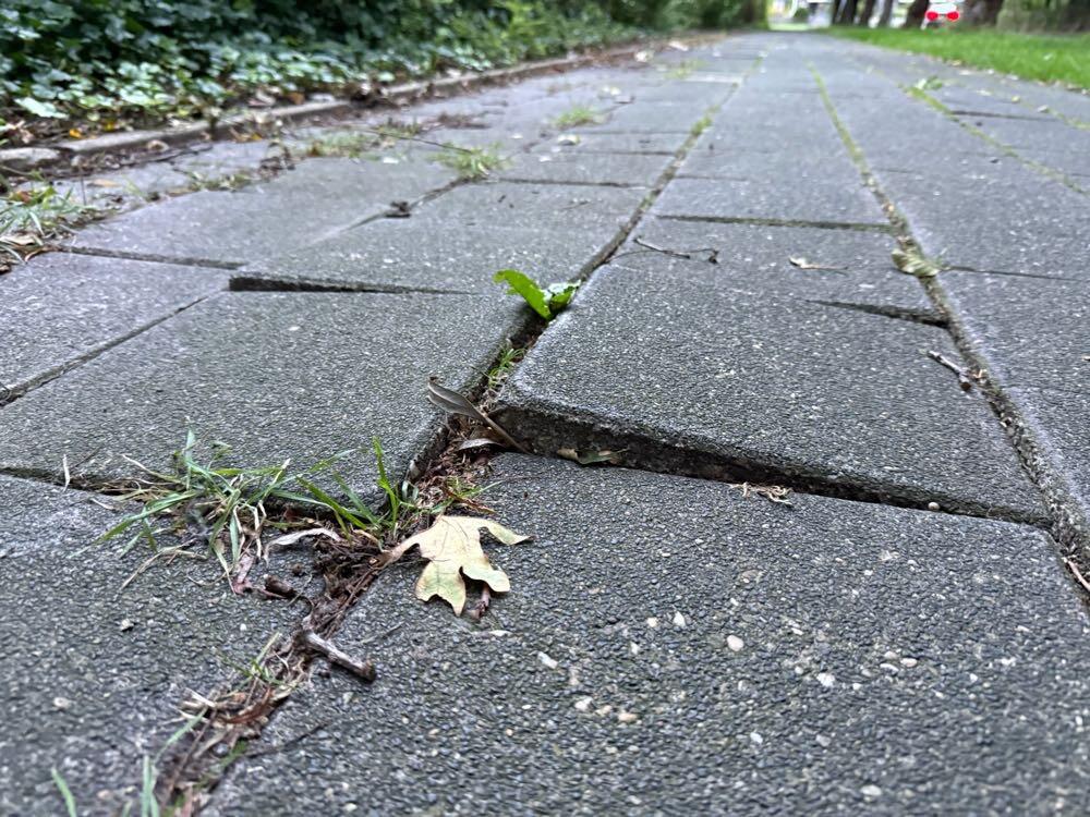 Foto bij melding 5578668 · Wegen en paden