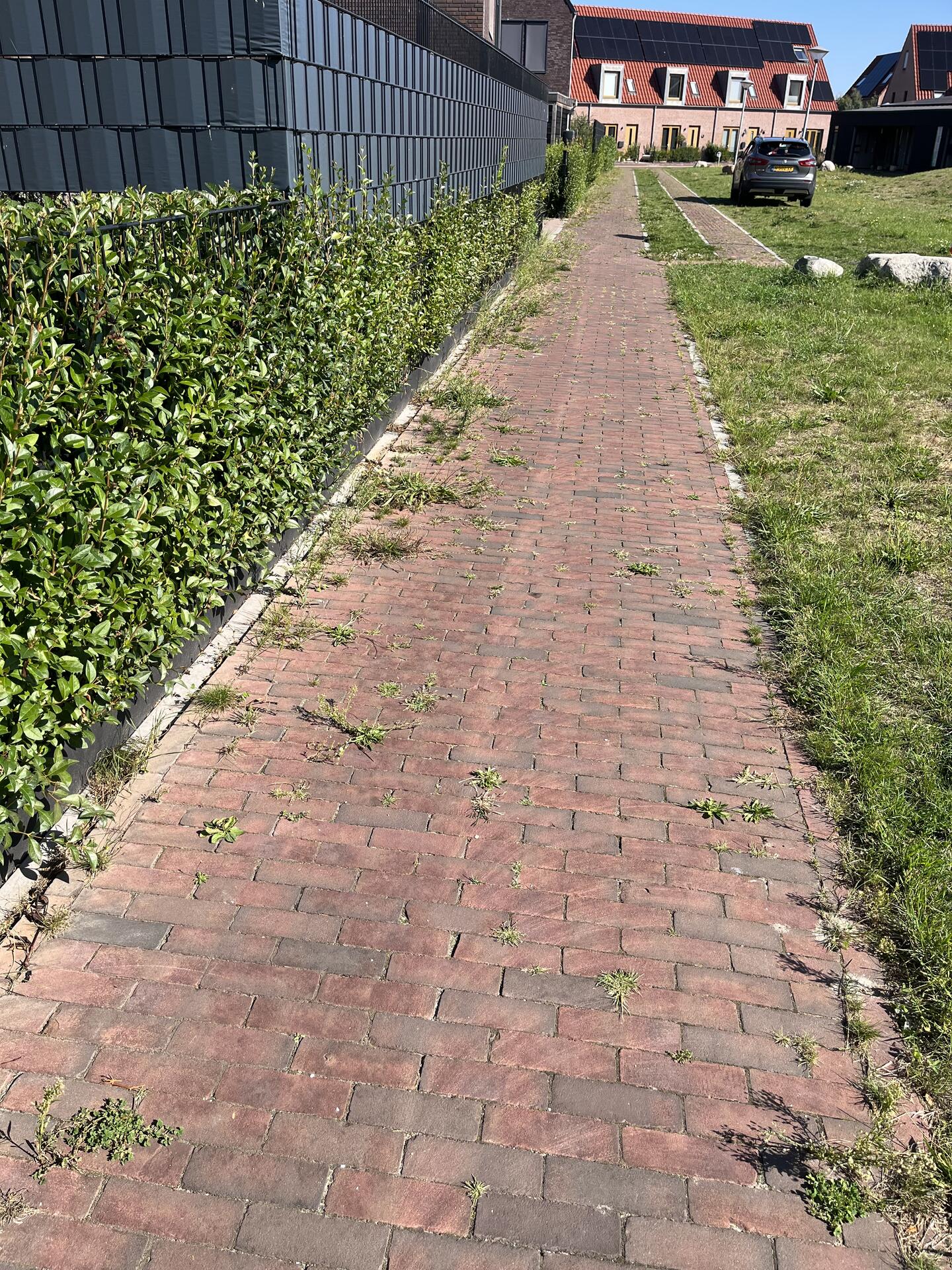 Foto bij melding 5507719 · Groenonderhoud