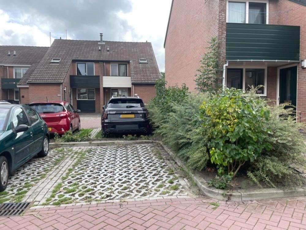 Foto bij melding 5575077 · Groenonderhoud