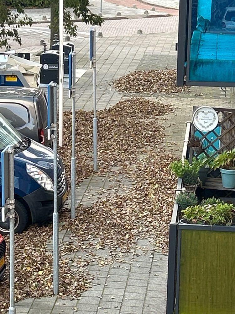 Foto bij melding 5725114 · Wegen en paden