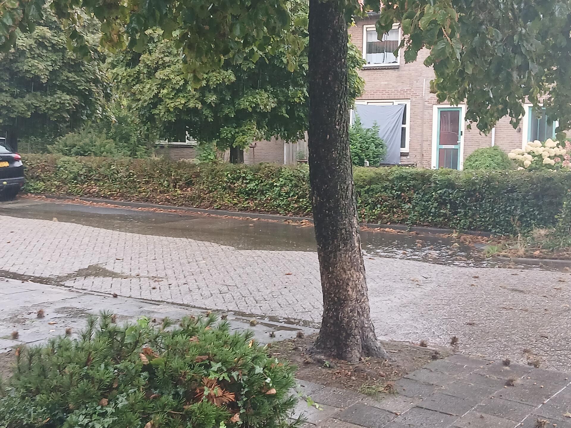 Foto bij melding 5525801 · Riolering