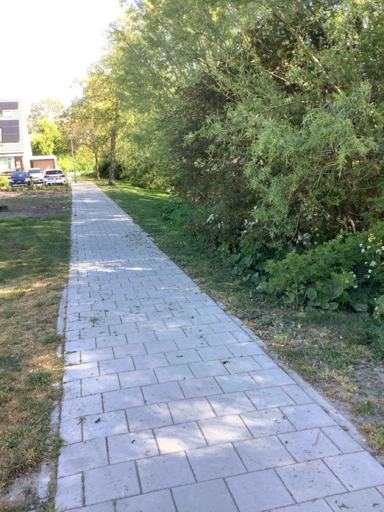 Foto bij melding 5078218 · Groenonderhoud