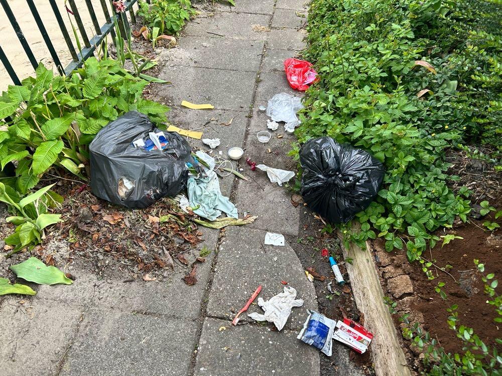 Foto bij melding 5101798 · Afval/Hondenpoep/Ongedierte/Dode dieren