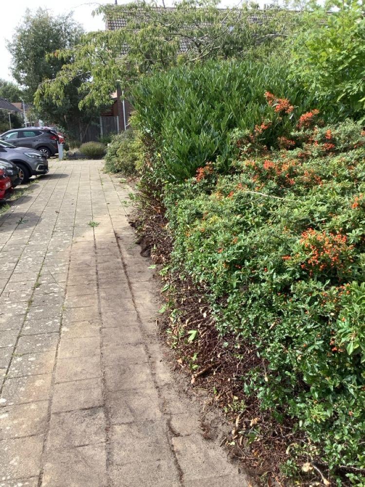 Foto bij melding 5532719 · Groenonderhoud