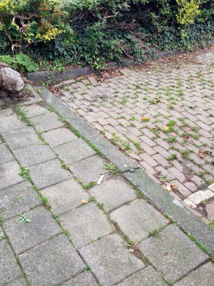 Foto bij melding 5657856 · Openbaar groen
