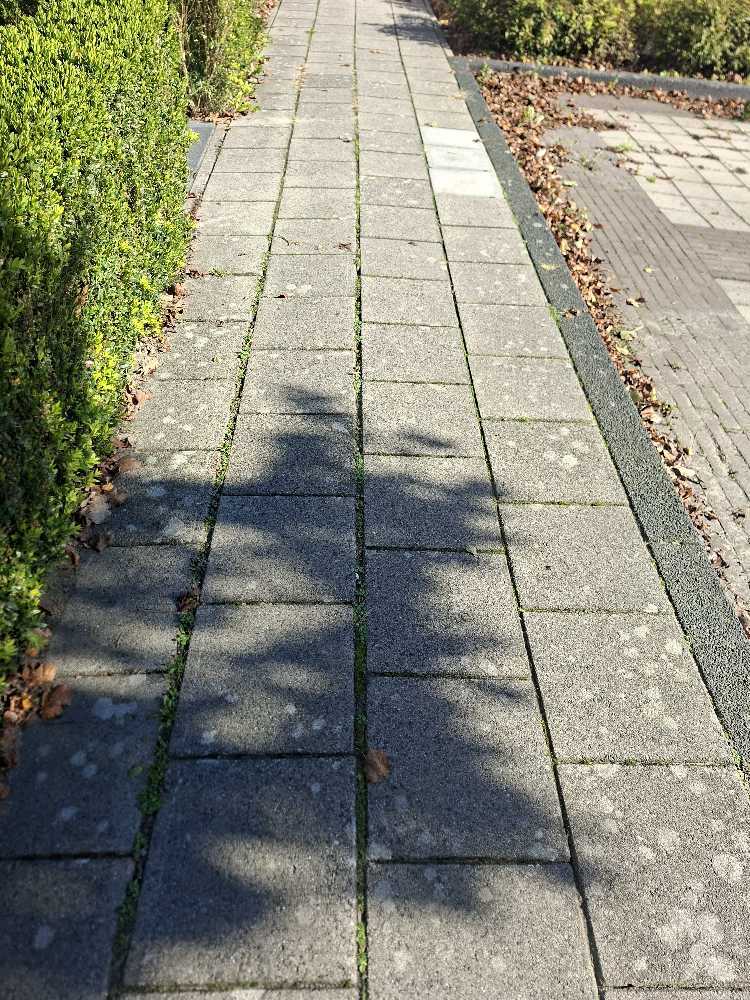Foto bij melding 5680716 · Wegen, fietspaden, en stoepen