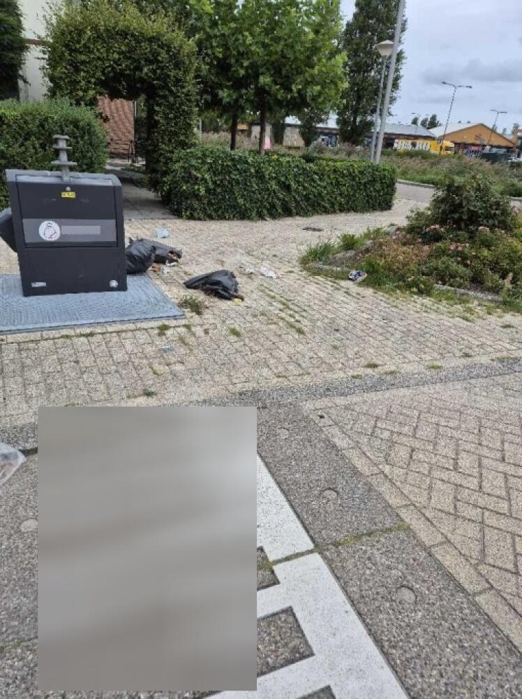 Foto bij melding 5553699 · Groenonderhoud