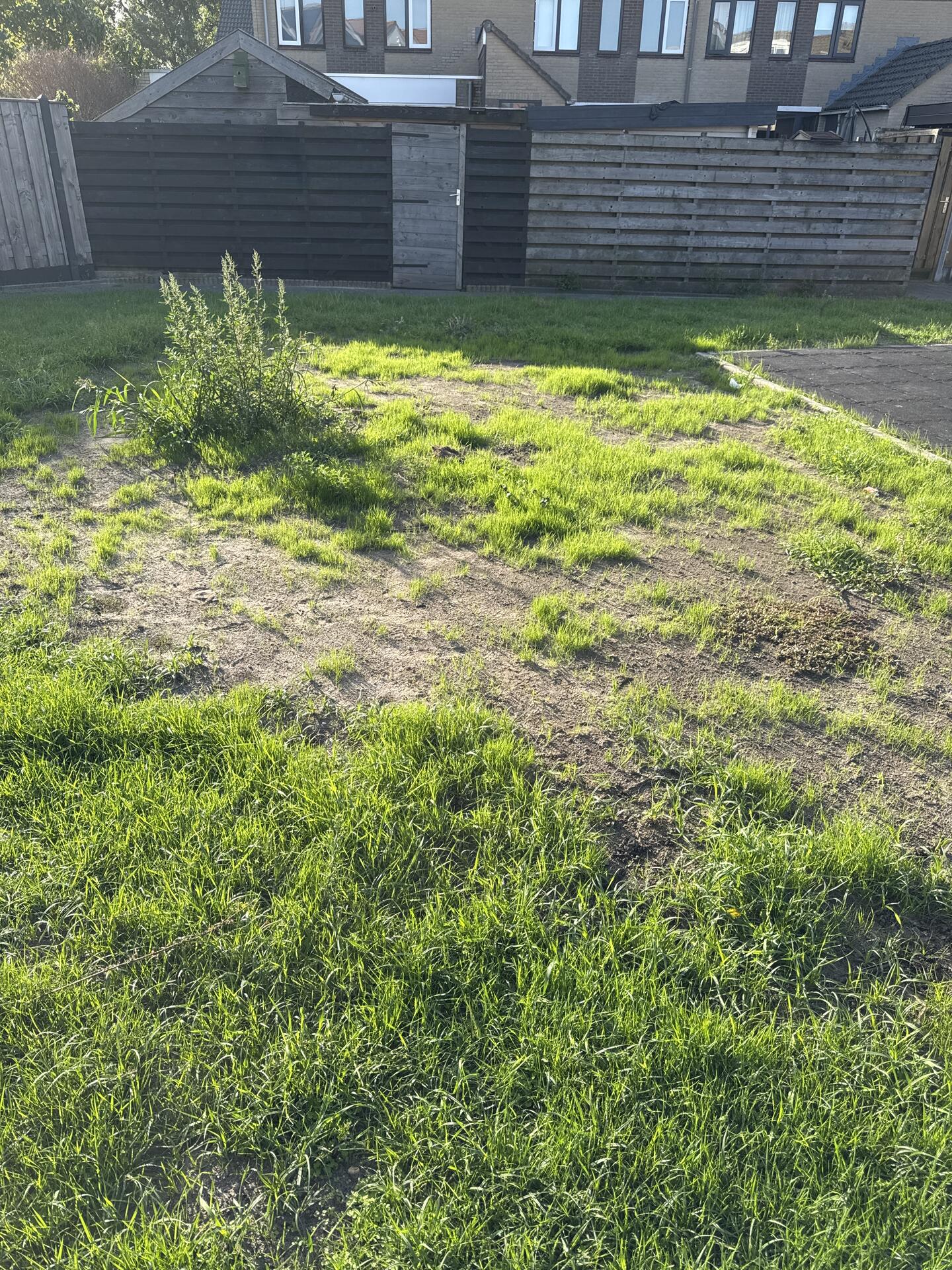 Foto bij melding 5549042 · Groenonderhoud