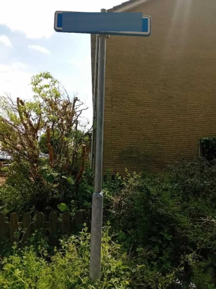 Foto bij melding 5128479 · Openbaar groen