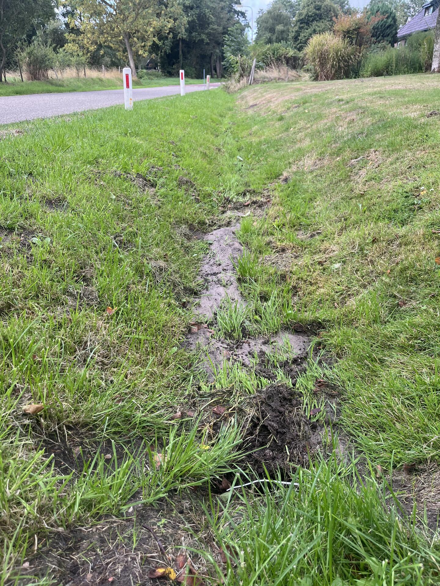 Foto bij melding 5528744 · Riolering