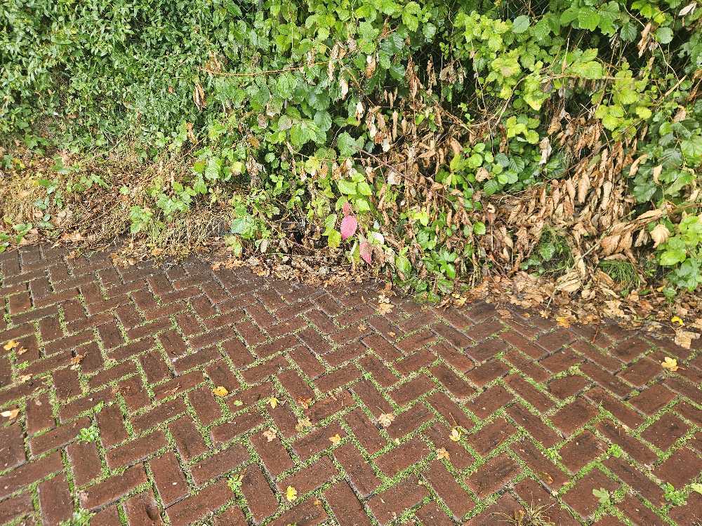 Foto bij melding 5540077 · Riolering