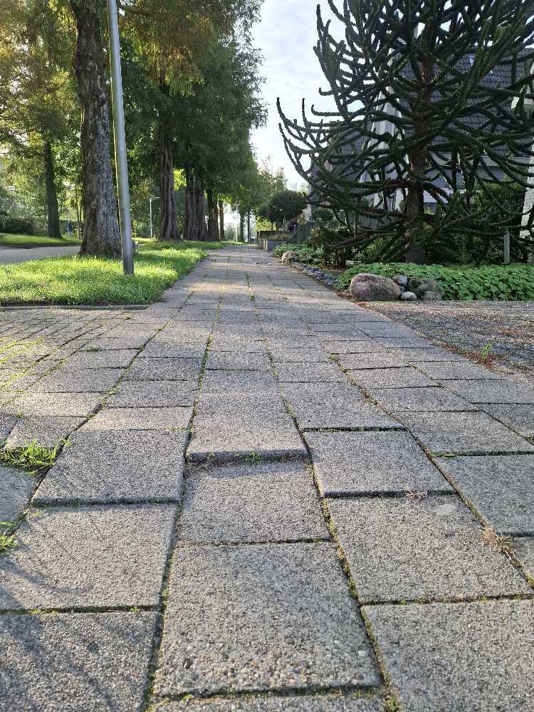 Foto bij melding 5568456 · Wegen, fietspaden, en stoepen