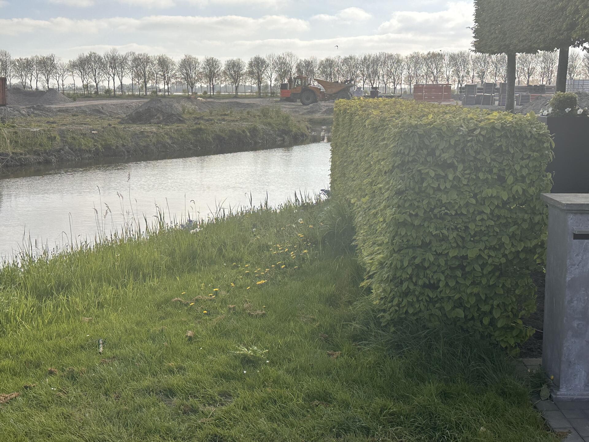 Foto bij melding 5051501 · Groen en bomen