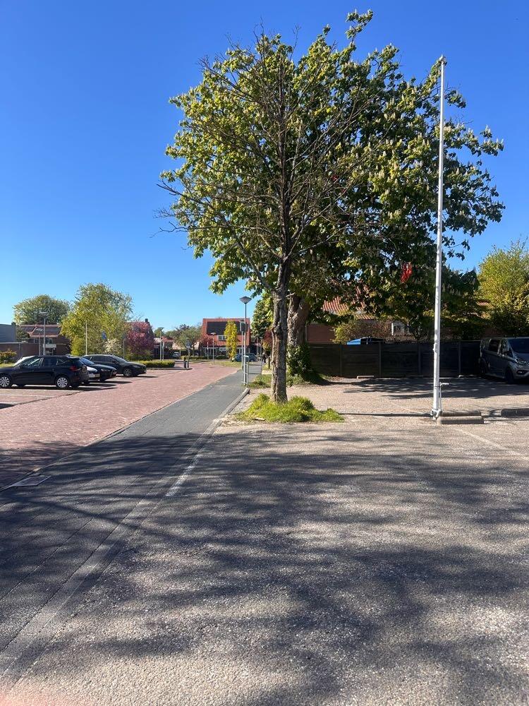 Foto bij melding 5056790 · Openbaar groen