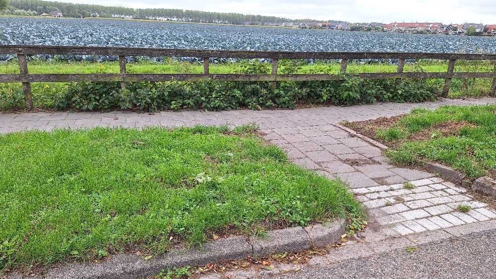Foto bij melding 5580988 · Openbaar groen