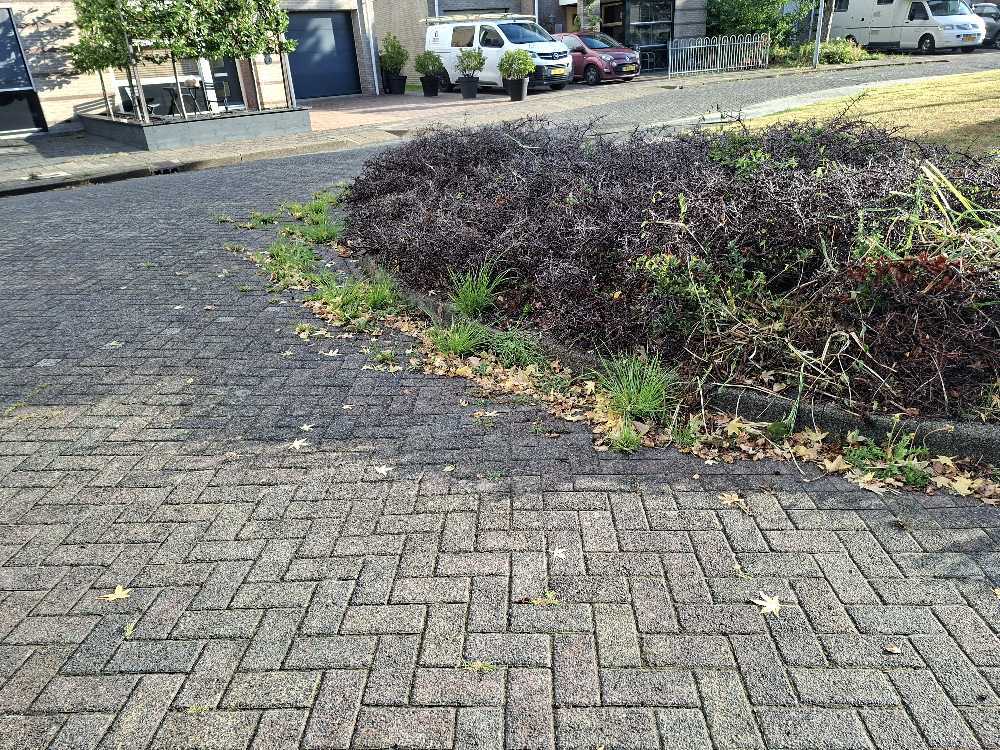 Foto bij melding 5488781 · Groenonderhoud