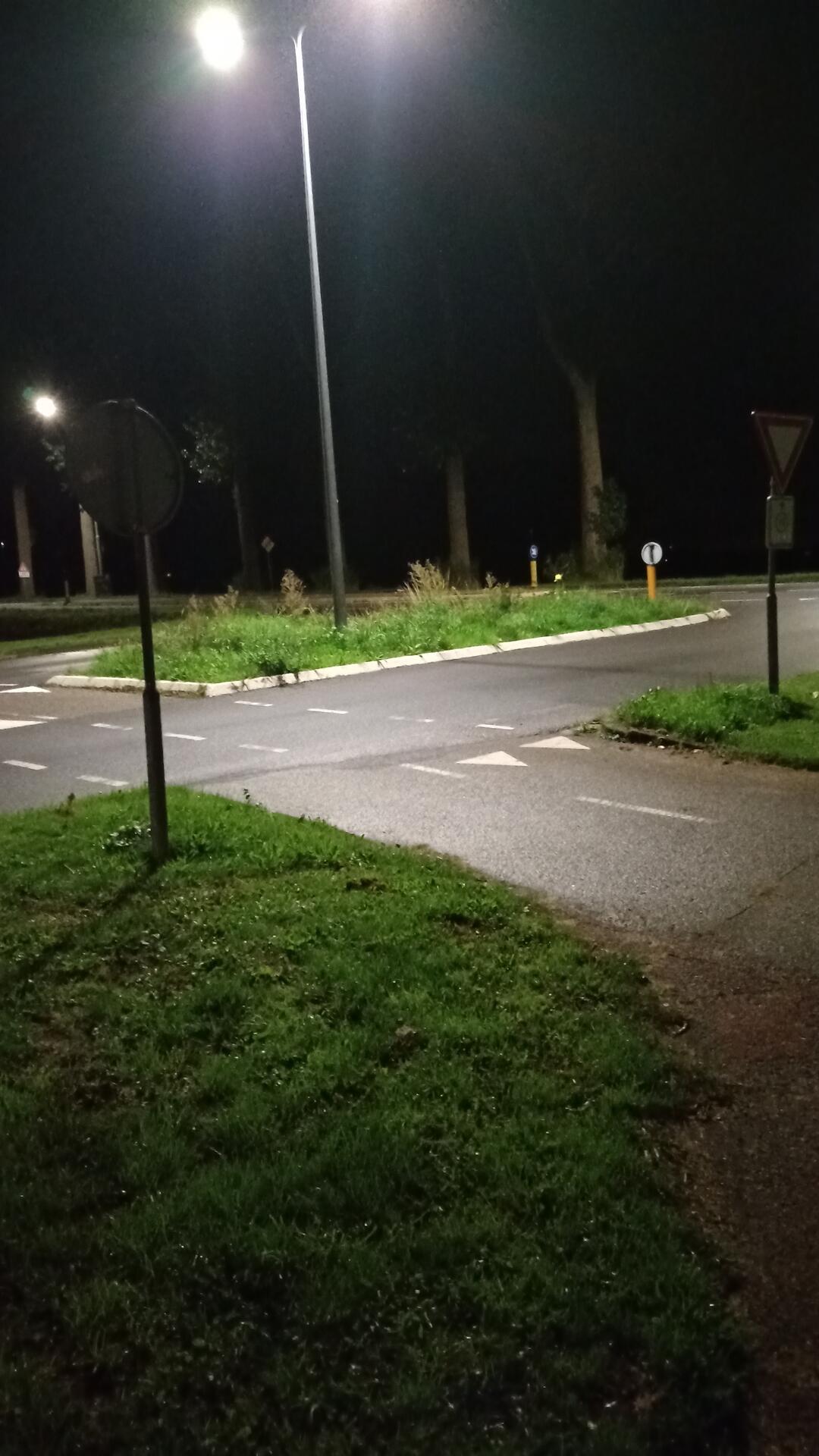 Foto bij melding 5586880 · Openbaar groen
