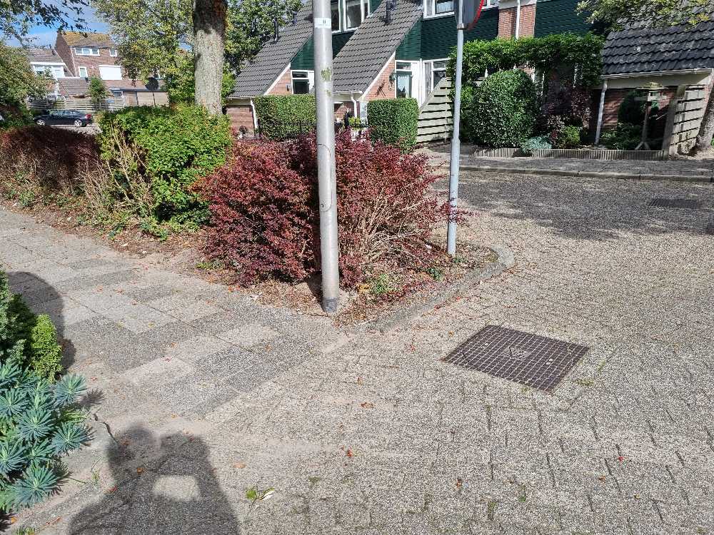 Foto bij melding 5600905 · Openbaar groen