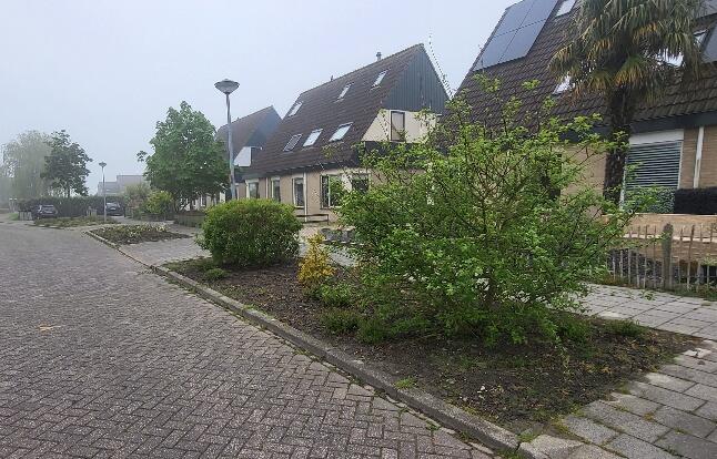 Foto bij melding 5069581 · Openbaar groen