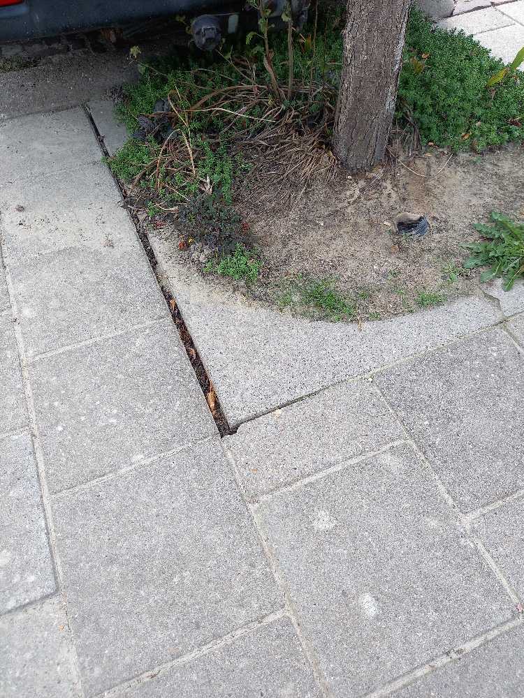 Foto bij melding 5601333 · Wegen, fietspaden, en stoepen