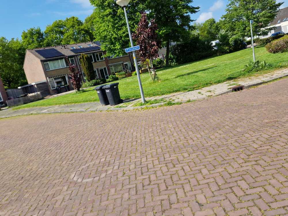 Foto bij melding 5125020 · Openbaar groen