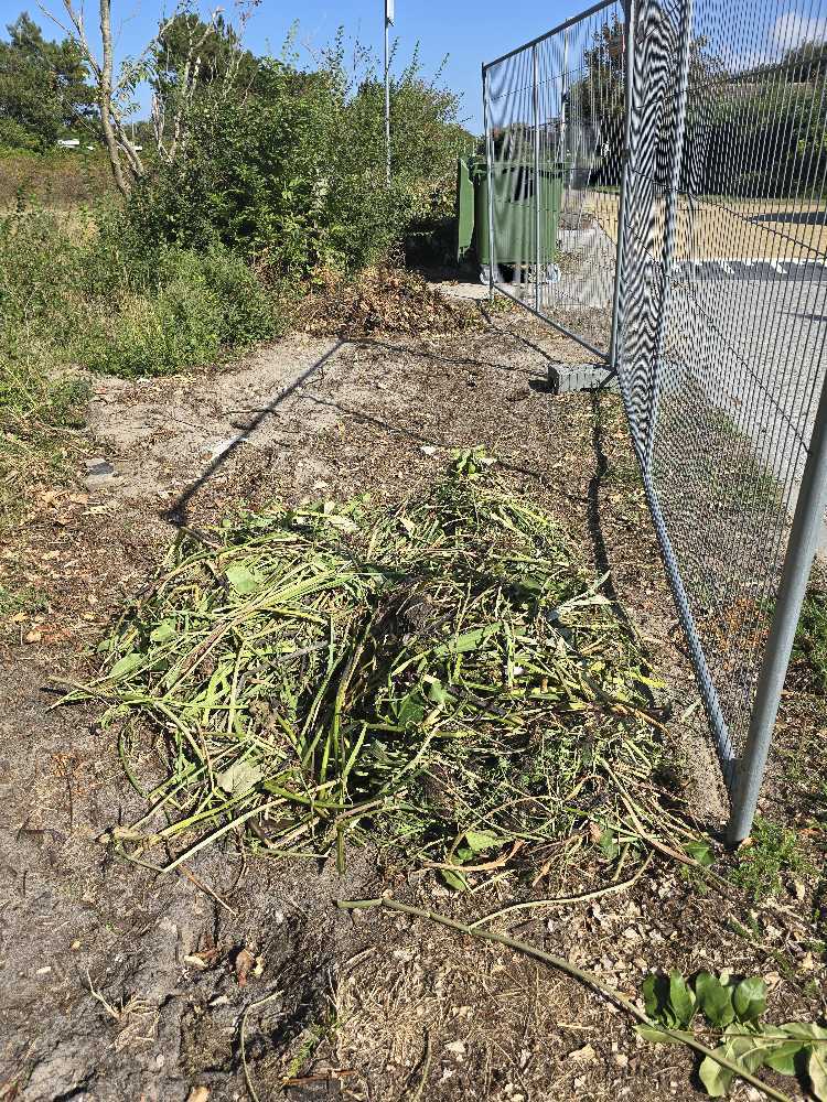 Foto bij melding 5500807 · Afval en zwerfvuil