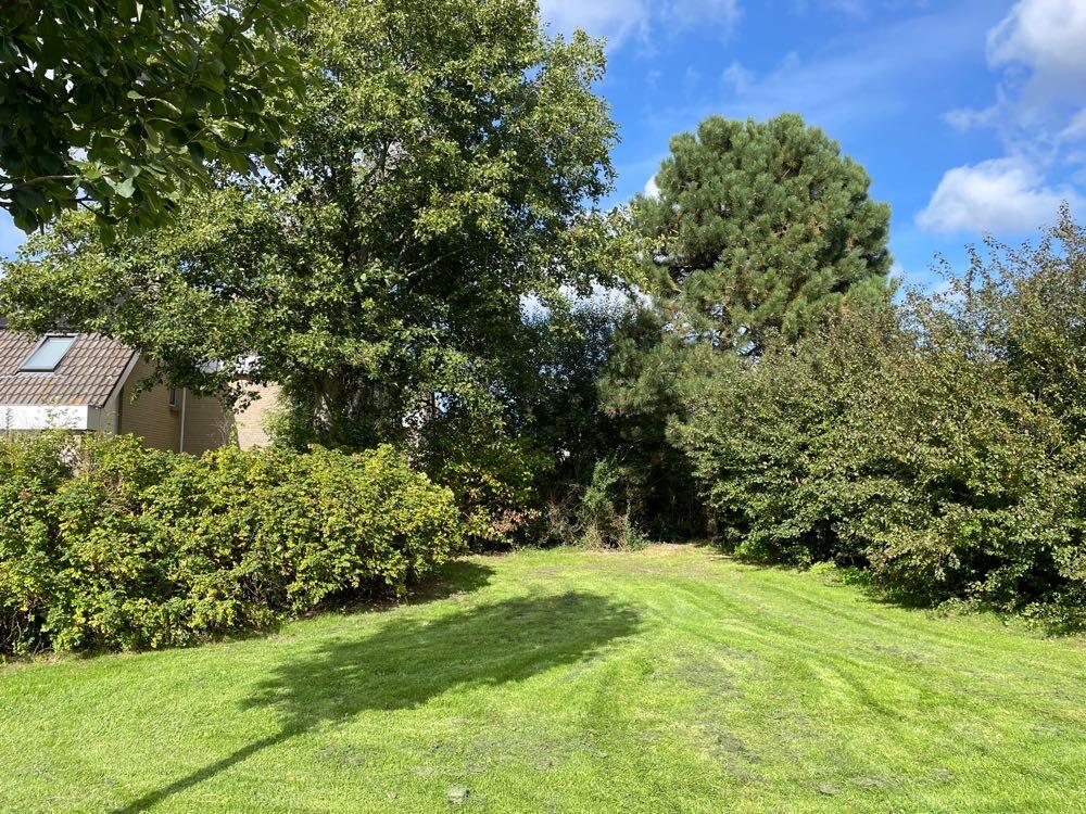 Foto bij melding 5609611 · Groenonderhoud
