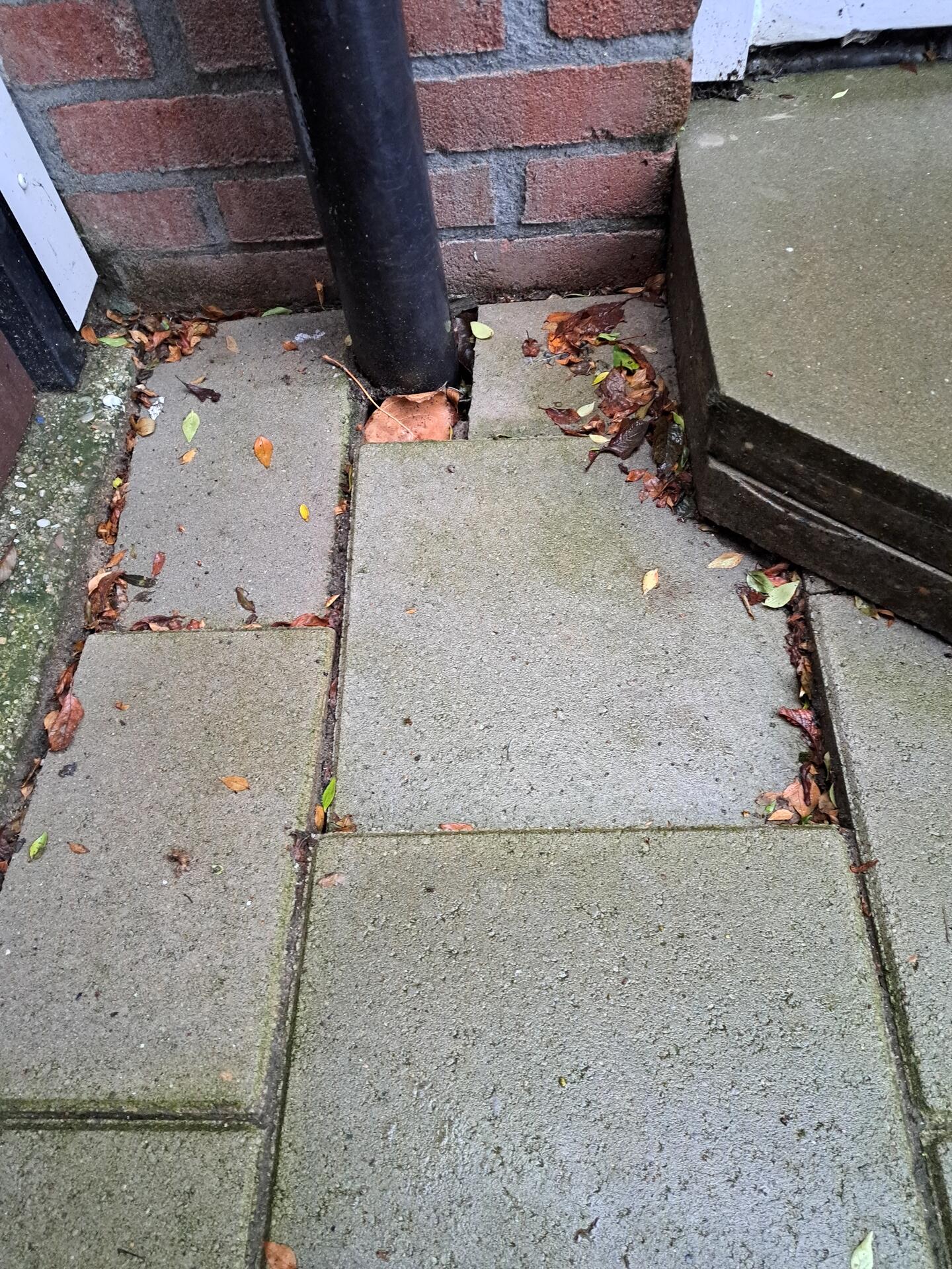 Foto bij melding 5523498 · Wegen en paden