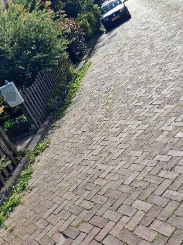 Foto bij melding 5602117 · Openbaar groen