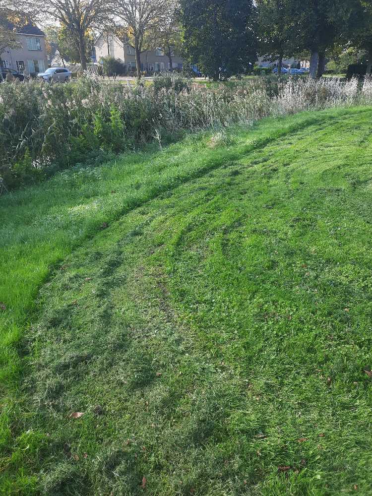 Foto bij melding 5707664 · Openbaar groen