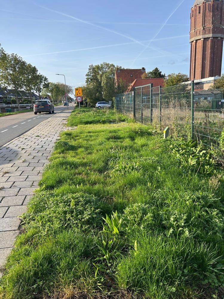 Foto bij melding 5613720 · Openbaar groen