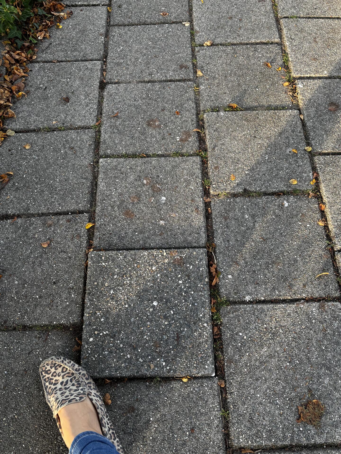 Foto bij melding 5645400 · Wegen, fietspaden, en stoepen