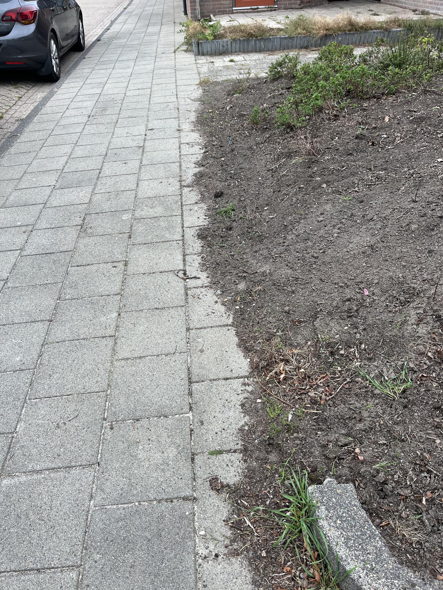 Foto bij melding 5639632 · Openbaar groen