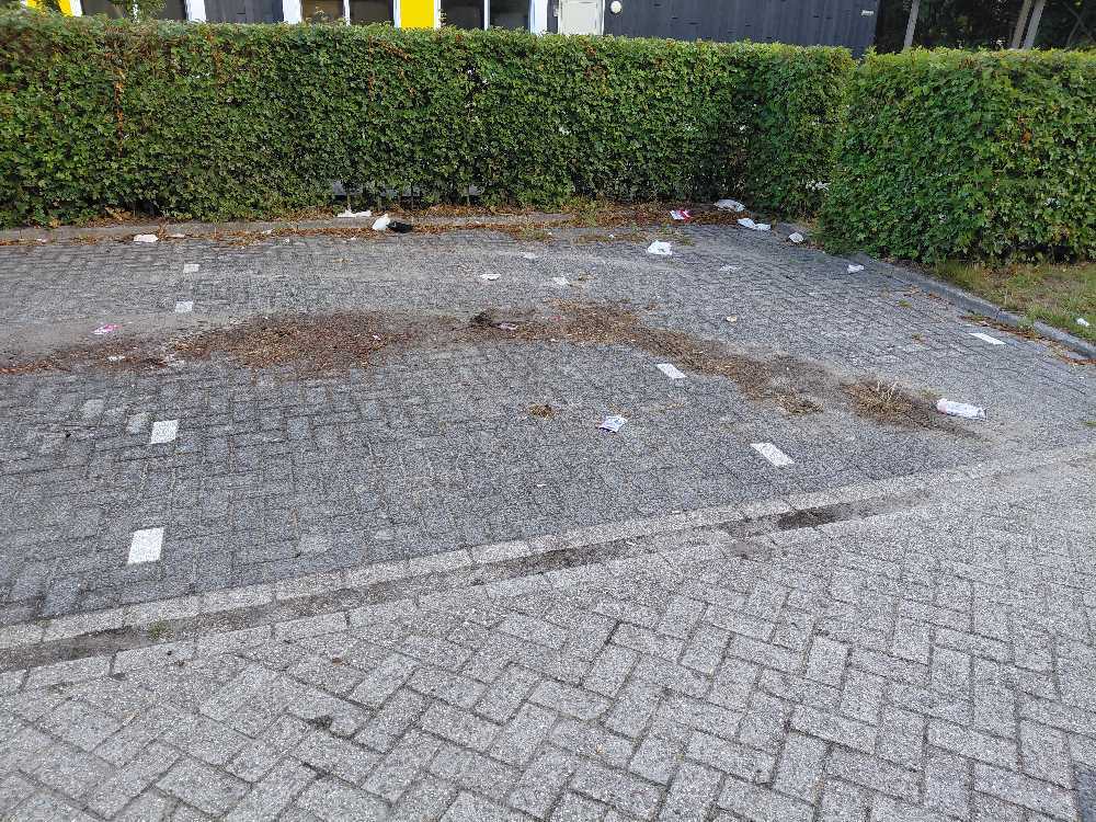 Foto bij melding 5484651 · Afval