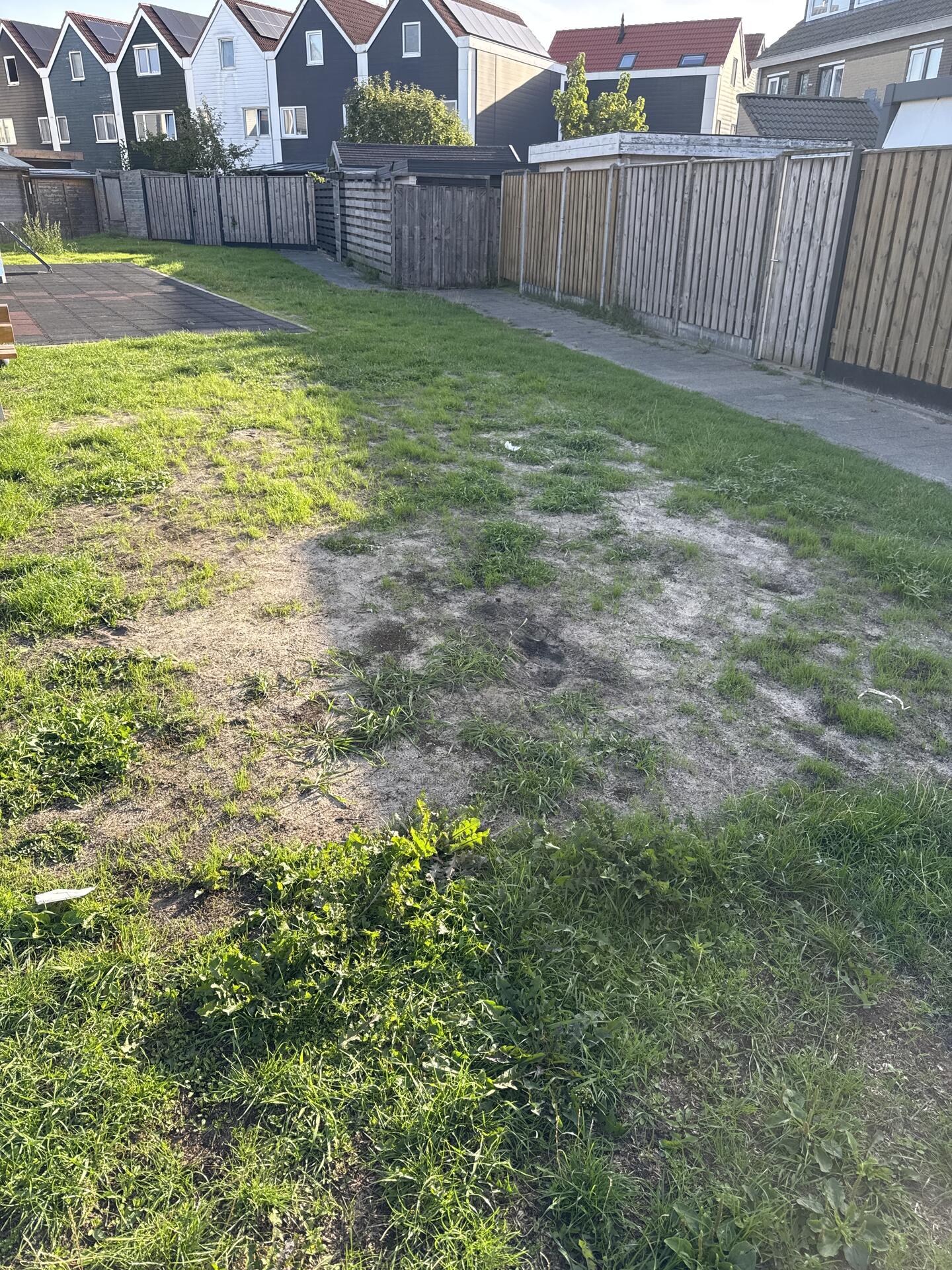 Foto bij melding 5549042 · Groenonderhoud