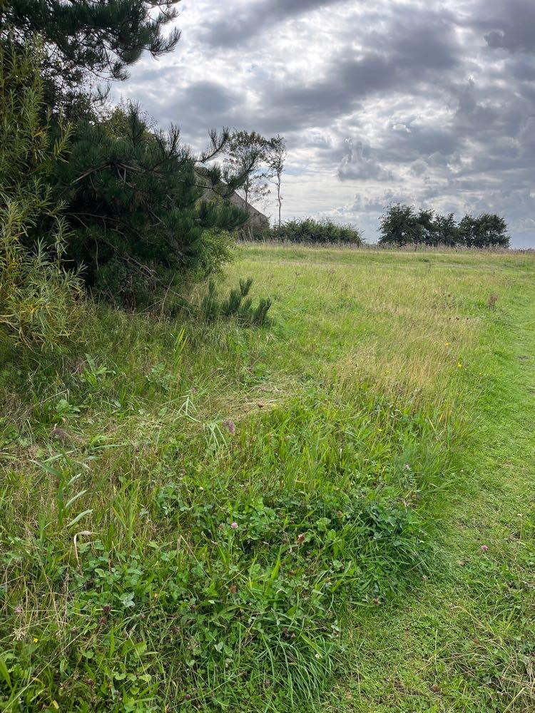 Foto bij melding 5563541 · Groenonderhoud