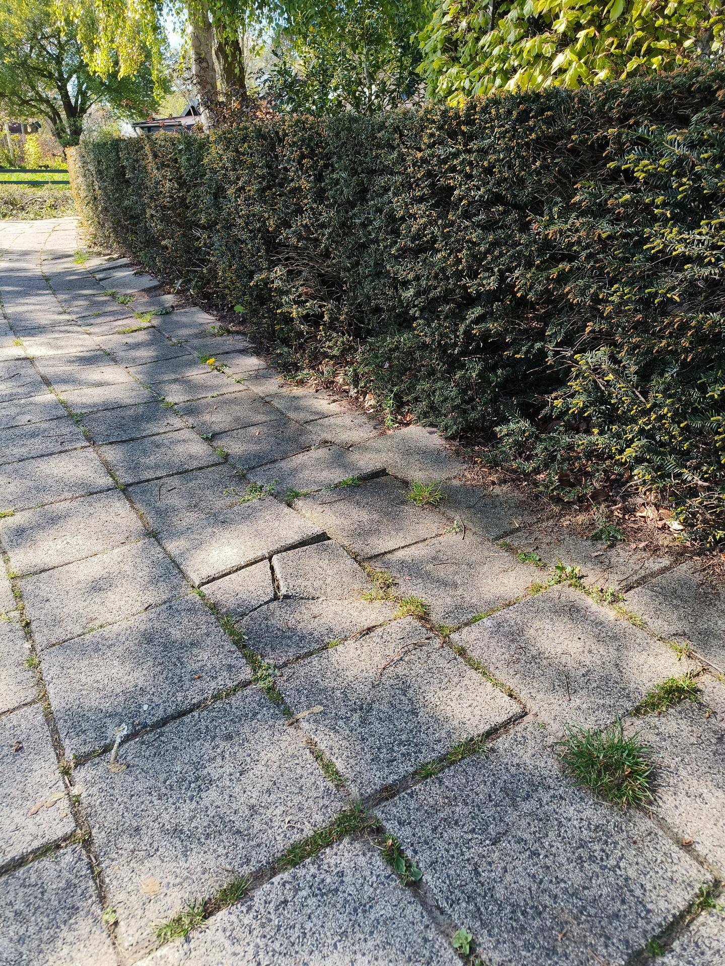 Foto bij melding 5043939 · Wegen, fietspaden, en stoepen
