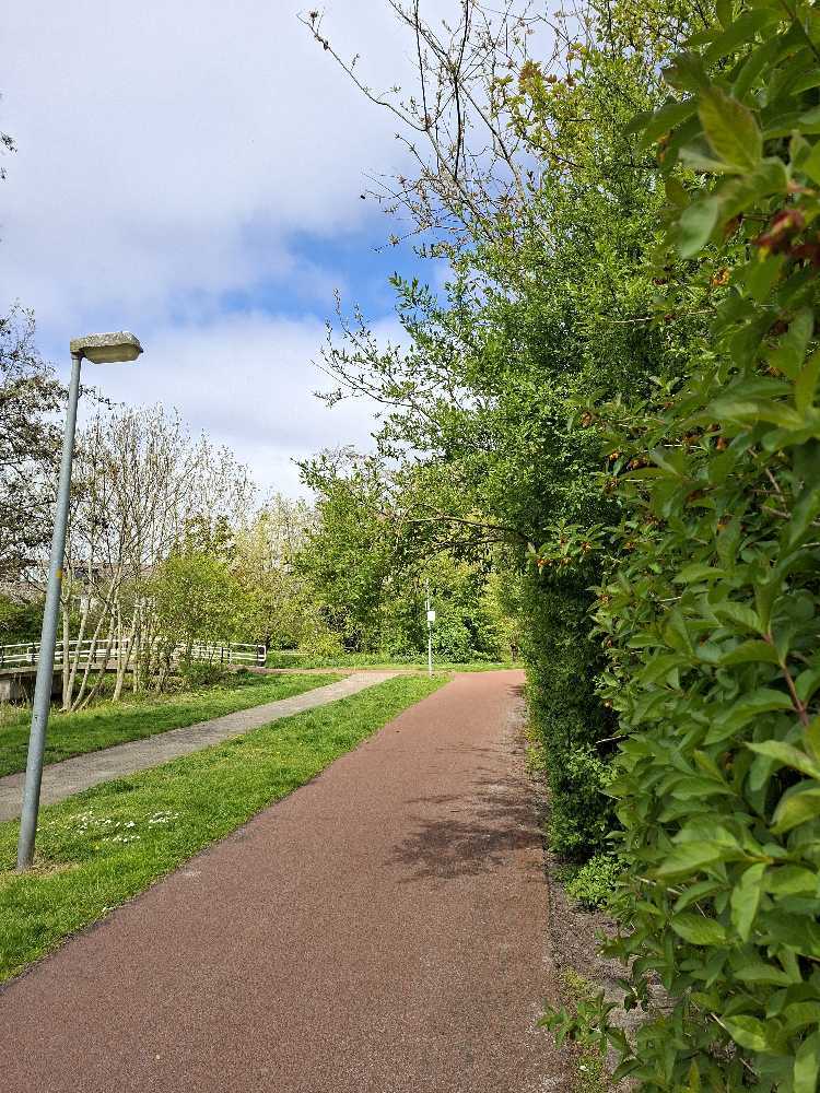 Foto bij melding 5042179 · Groenonderhoud