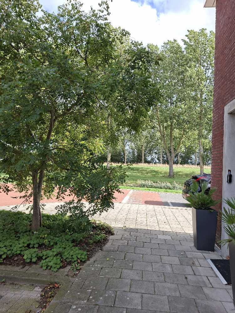 Foto bij melding 5544904 · Openbaar groen